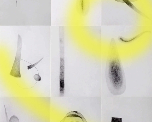 63cm x 90cm-grafite on 250gr paper-gelatin-acrylics-01