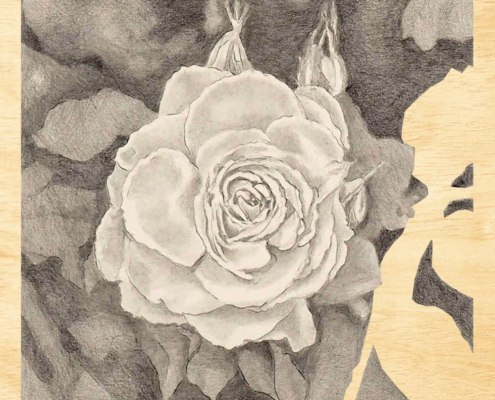 21cm x 21cm-pencil on 300gr paper-wood-09